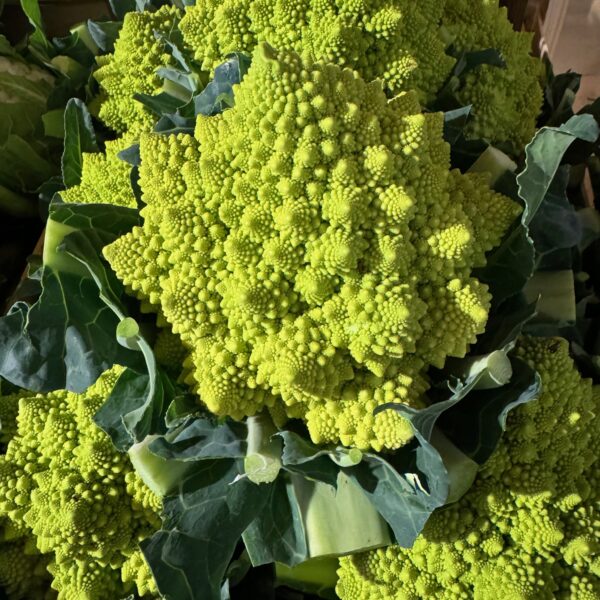 Chou Romanesco