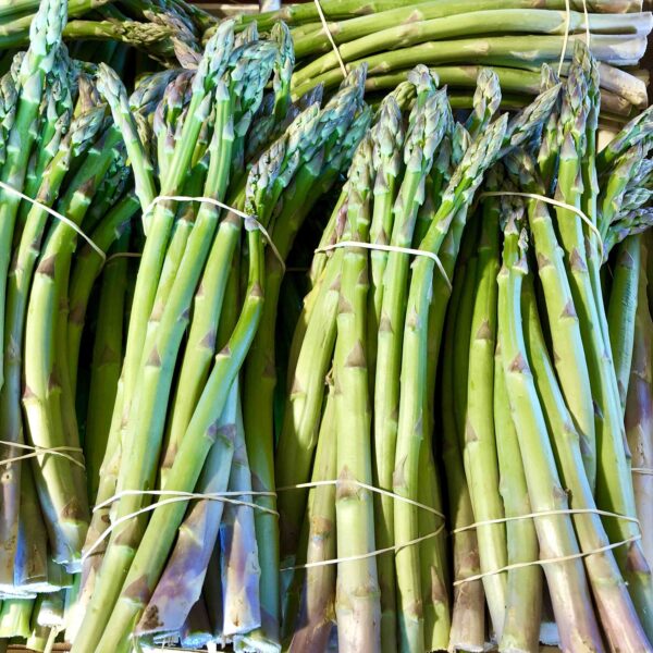 Asperge Verte – Image 2